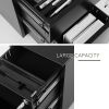 2 Drawer Mobile File Cabinet with Lock Metal Filing Cabinet for Legal/Letter/A4/F4 Size; Fully Assembled Include Wheels; Home/Office Design; Black