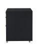 Coleen File Cabinet; Black High Gloss &amp; Chrome 92450