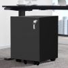 2 Drawer Mobile File Cabinet with Lock Metal Filing Cabinet for Legal/Letter/A4/F4 Size; Fully Assembled Include Wheels; Home/Office Design; Black