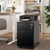 2 Drawer Mobile File Cabinet with Lock Metal Filing Cabinet for Legal/Letter/A4/F4 Size; Fully Assembled Include Wheels; Home/Office Design; Black