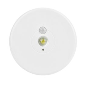 Rite Lite Motion Activated LED Ceiling Light - LPL1003